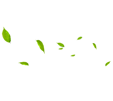 شرکت MHL Power Dongfang Boiler Co. ، Ltd. (MHDB)