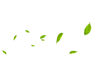 شرکت MHL Power Dongfang Boiler Co. ، Ltd. (MHDB)