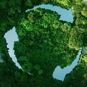 شرکت MHL Power Dongfang Boiler Co. ، Ltd. (MHDB)